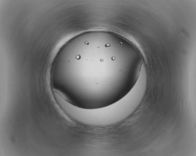 X0000113901480200910151345