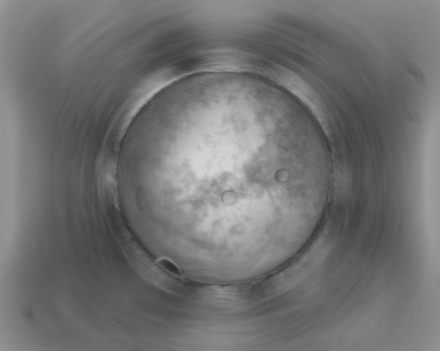 X0000113901481200910151345