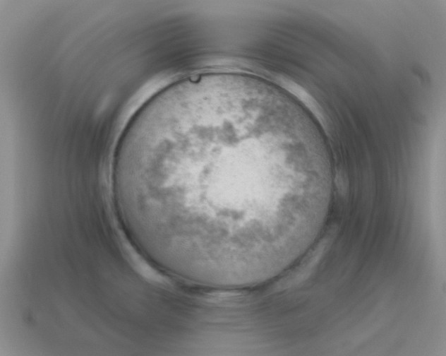 X0000113901482200910151345