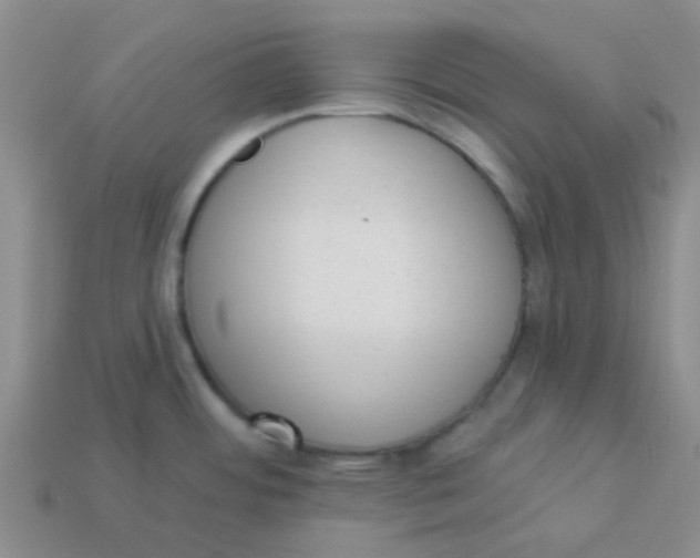 X0000113901484200910151345