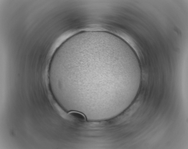 X0000113901485200910151345