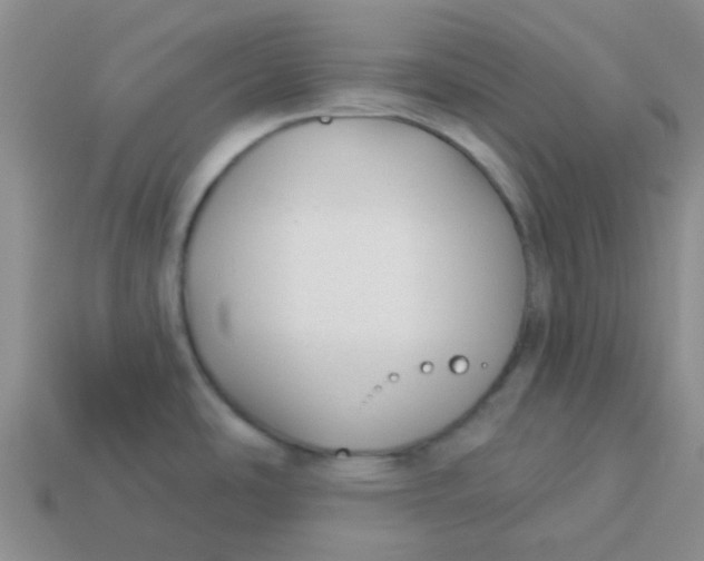 X0000113901486200910151345