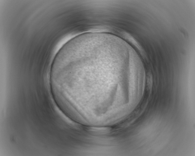 X0000113901487200910151345