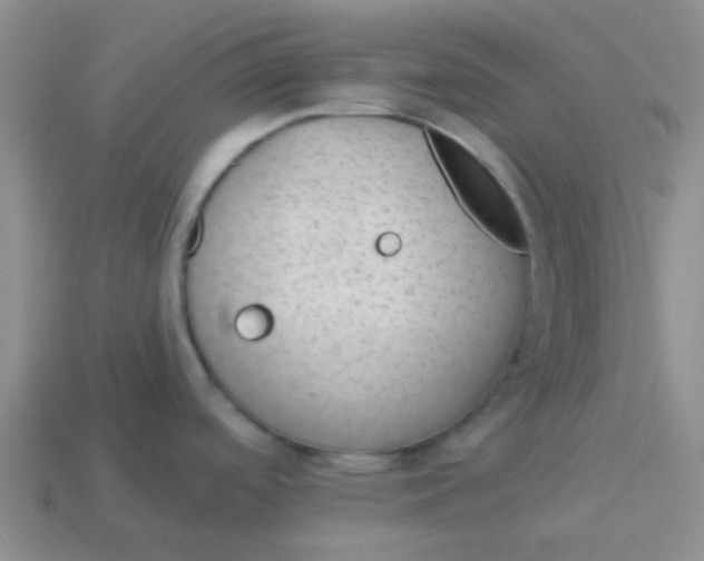 X0000113901488200910151345