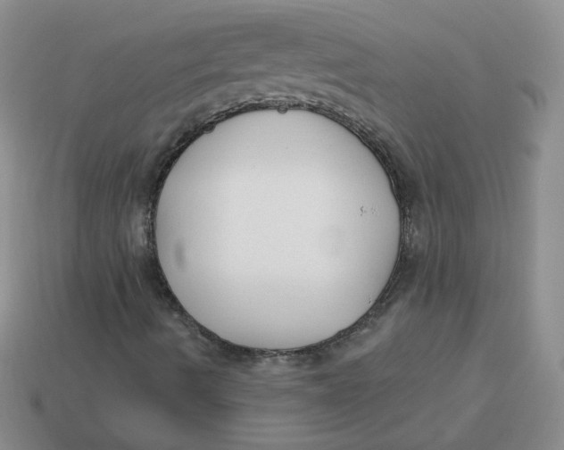 X0000113901490200910151344