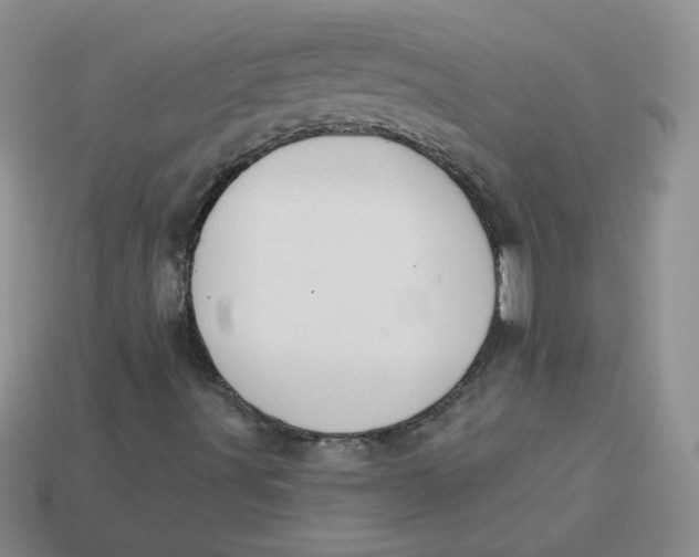 X0000113901491200910151344