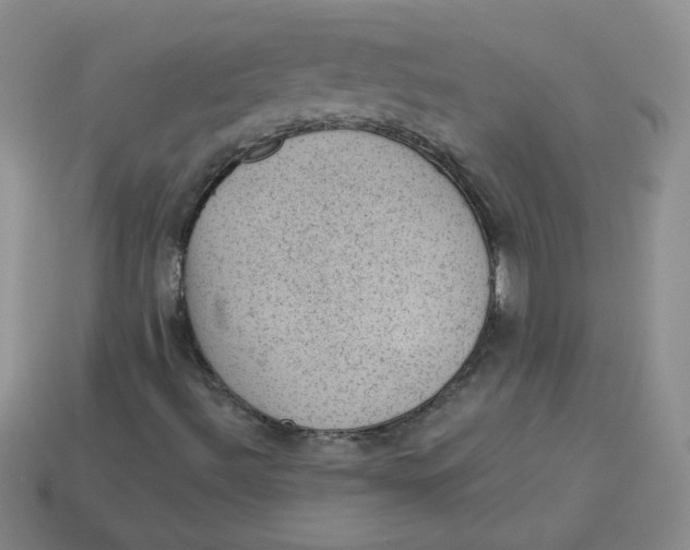 X0000113901492200910151344