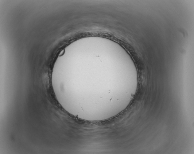 X0000113901493200910151344