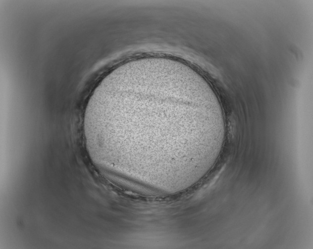 X0000113901494200910151344