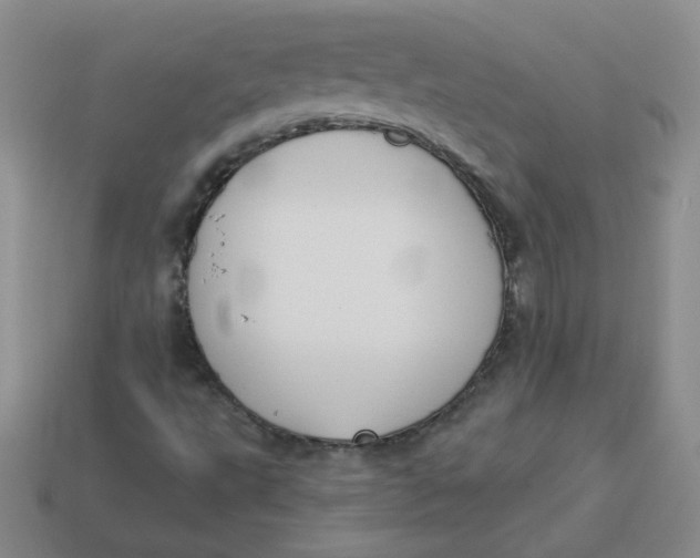 X0000113901495200910151344