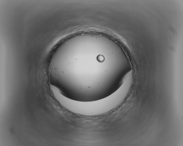 X0000113901496200910151344