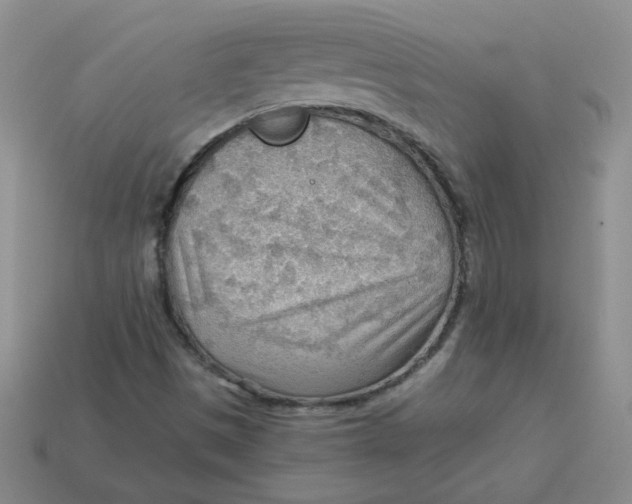 X0000113901497200910151344