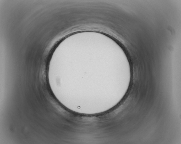 X0000113901498200910151344