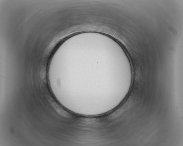 X0000113901499200910151344