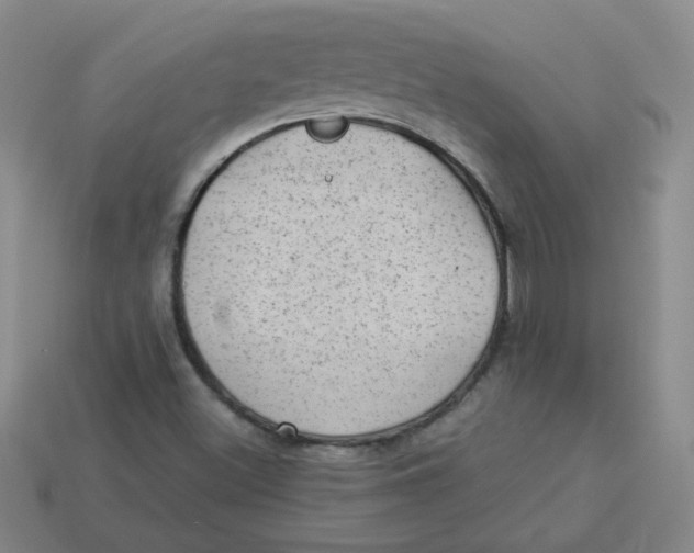 X0000113901500200910151344