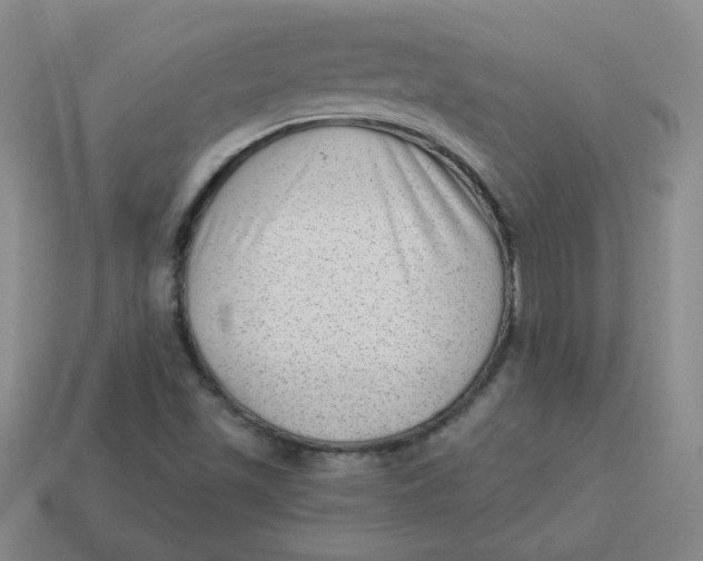 X0000113901501200910151344