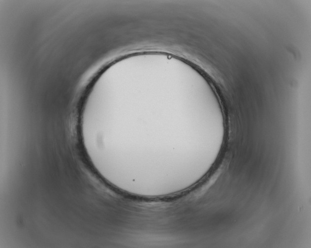 X0000113901502200910151344