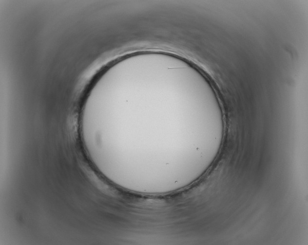 X0000113901503200910151344