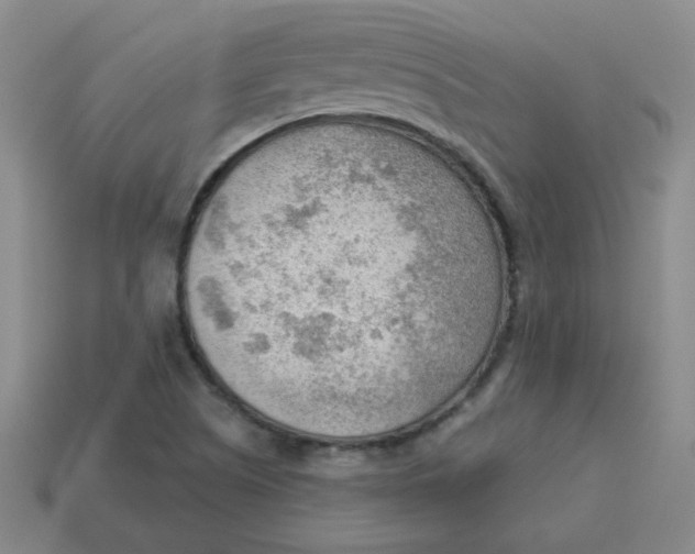 X0000113901505200910151344