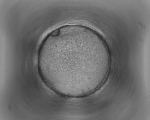 X0000113901506200910151344