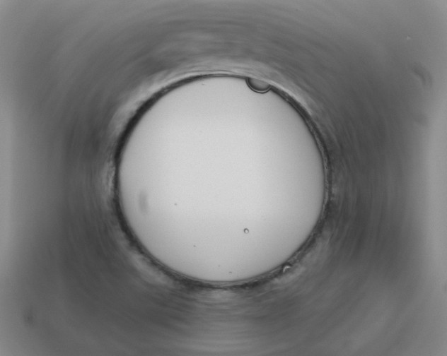 X0000113901507200910151344