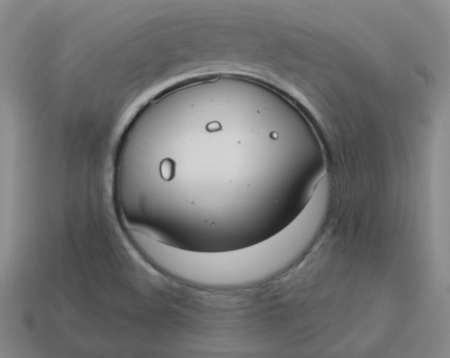 X0000113901508200910151344