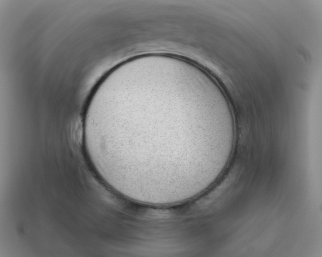 X0000113901509200910151344