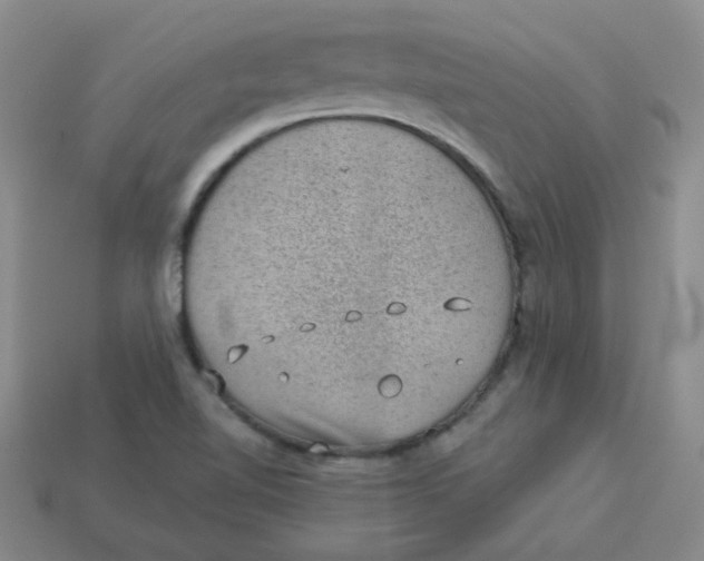 X0000113901510200910151344