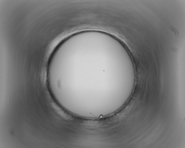 X0000113901511200910151344