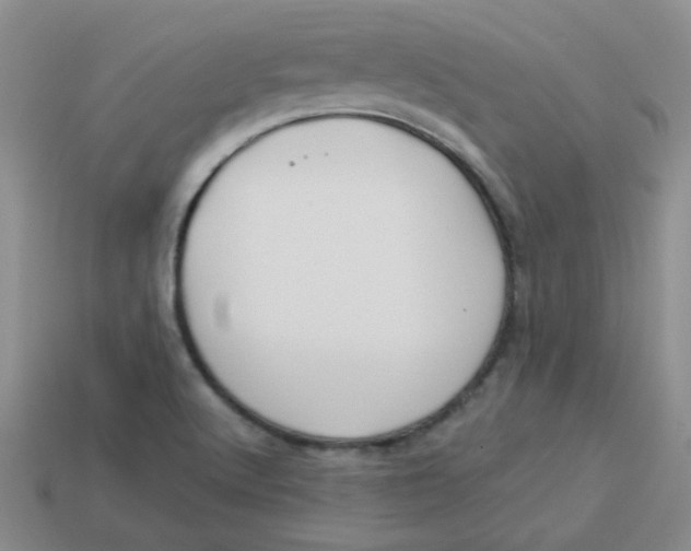 X0000113901512200910151344