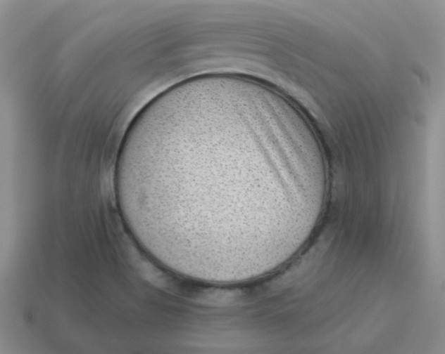 X0000113901513200910151344