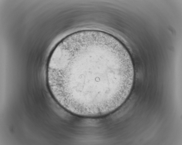 X0000113901514200910151344