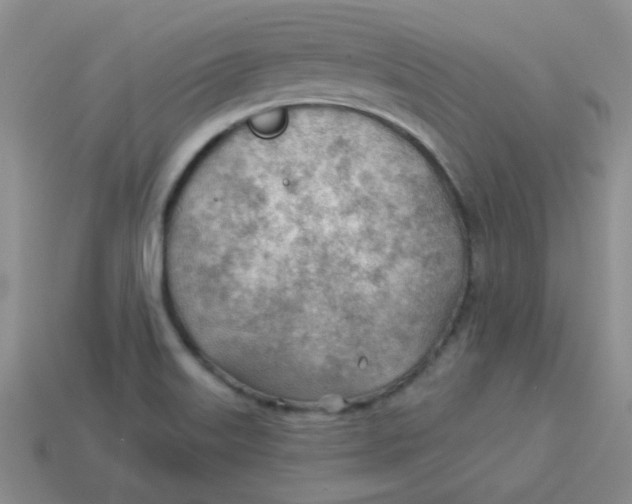 X0000113901515200910151344