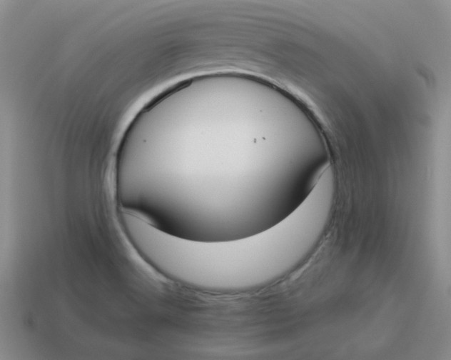 X0000113901516200910151344