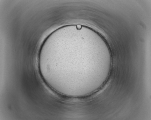 X0000113901517200910151344