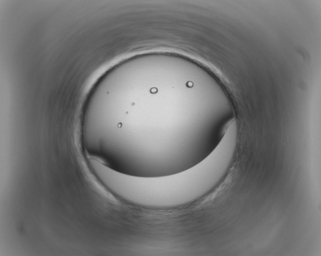 X0000113901518200910151344