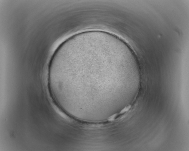 X0000113901519200910151344