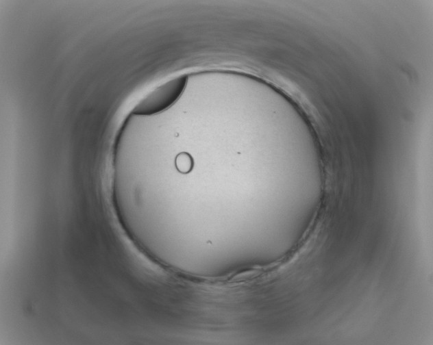 X0000113901520200910151344