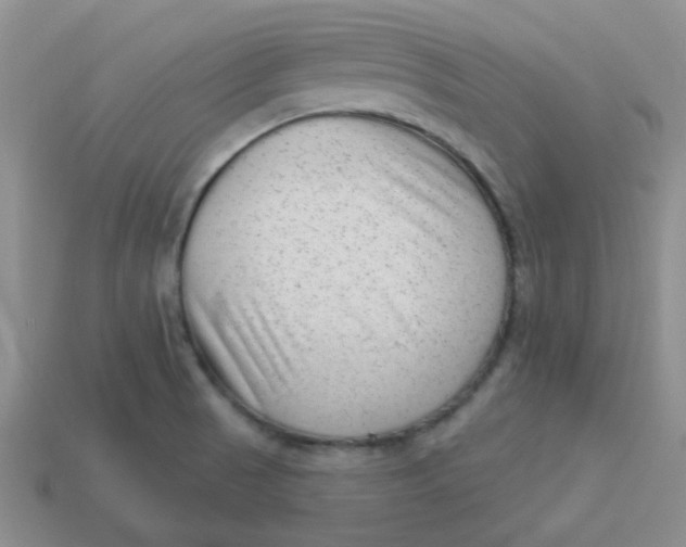 X0000113901521200910151344