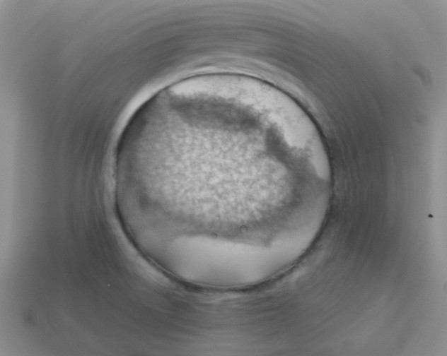 X0000113901522200910151344