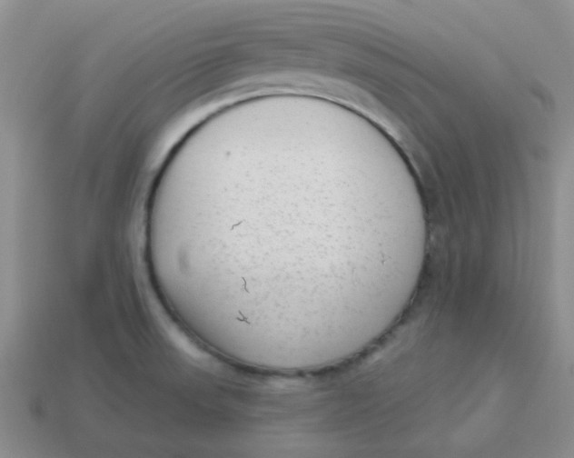 X0000113901523200910151344