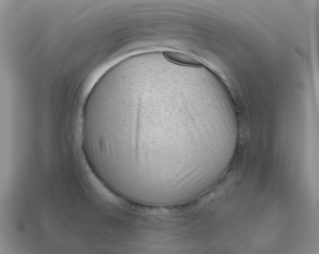 X0000113901524200910151344