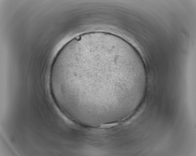 X0000113901525200910151344