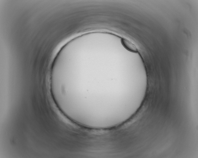 X0000113901526200910151344