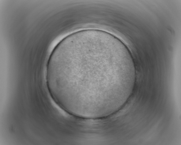 X0000113901527200910151344