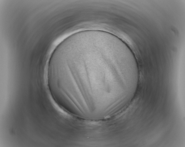 X0000113901528200910151345