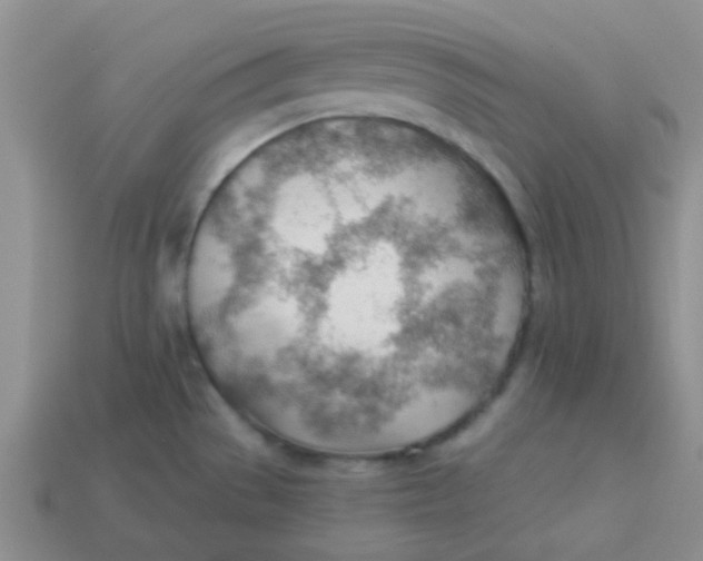 X0000113901529200910151345