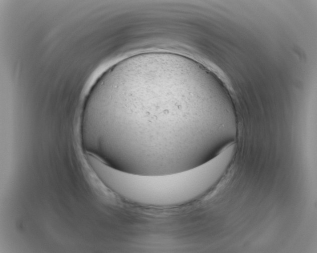 X0000113901530200910151345