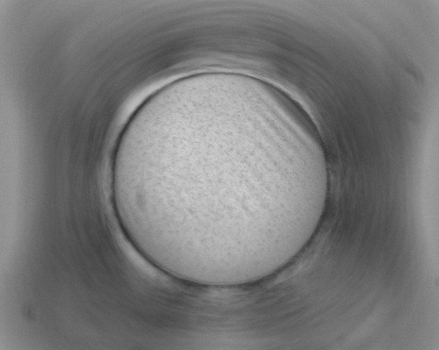 X0000113901531200910151345