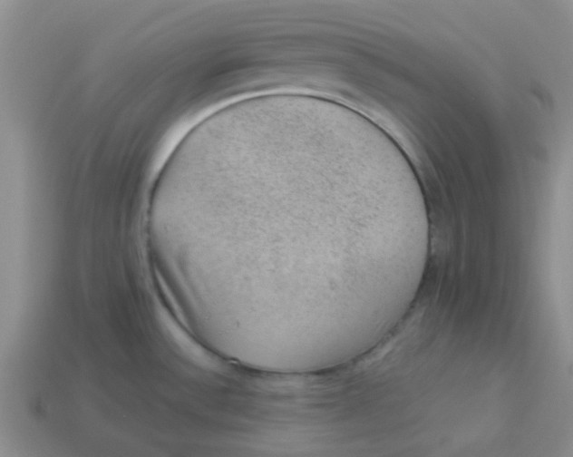 X0000113901532200910151345